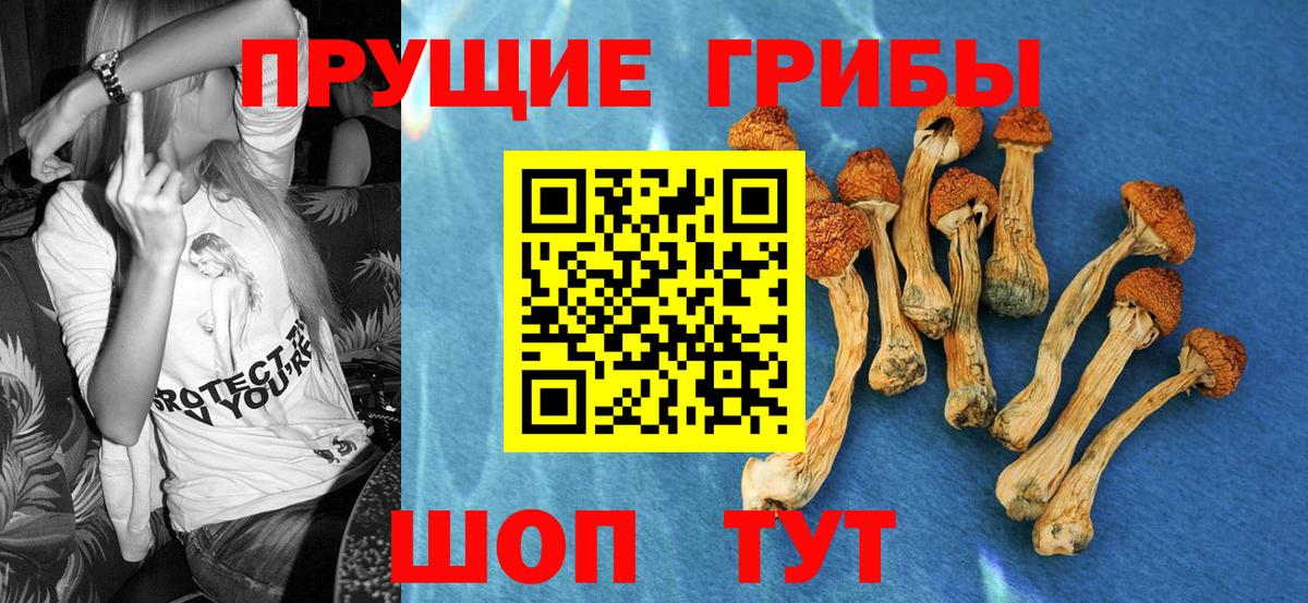 Псилоцибиновые грибы мухоморы  Вход с VPN  Ростов Великий  Галлюциногенные грибы MAGIC MUSHROOMS 